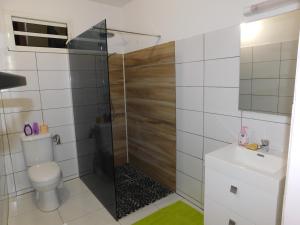 a bathroom with a shower and a toilet and a sink at ixora in Sainte-Anne