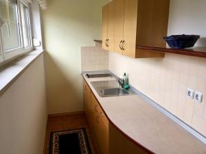 een kleine keuken met een wastafel en een raam bij J-Max in Bled +42 foto's