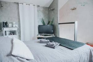 a bedroom with a bed with a tv on it at Chez Angel in Varennes-sur-Morge