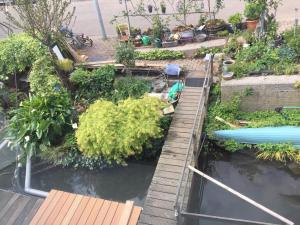 an aerial view of a garden with water and plants at Reiwa in Amsterdam +10 photos