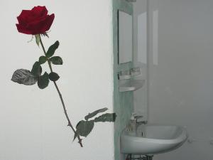 a bathroom with a rose on the wall next to a sink at Hotel Sternen in Lenzkirch