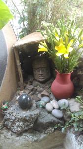 Zahrada ubytování Temazcal casa gema