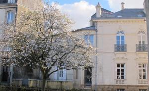 une vieille maison avec un arbre en face dans l'établissement Une Suite A Vannes, à Vannes