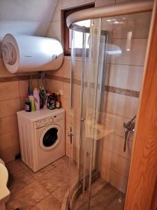 une douche dans une salle de bain avec machine à laver dans l'établissement Planinska kuca, à Žabljak 49 autres photos