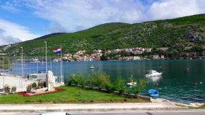 a view of a lake with a mountain at Kiara room in Mokošica