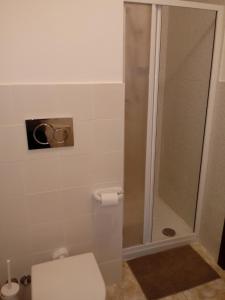 a bathroom with a shower and a toilet at B&B La Casetta in Bolognano +22 photos