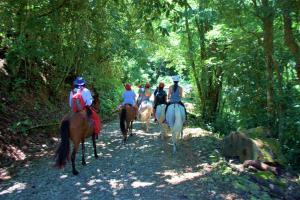 Hosté ubytování Adventure Park & Hotel Vista Golfo