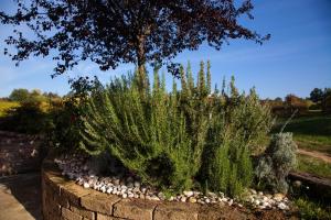 A garden outside Le Stanze di Bacco