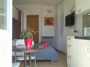a room with a table with a potted plant on it at Studio Apartment Mala plaža in Kaštela +29 photos