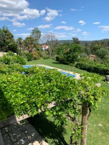 a view of a garden with a tree at Quinta de Canhões in São Pedro do Sul