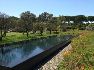 a drainage ditch with water in a field at Quinta Do Miguel in Aldeia do Meco