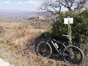 Fotografie z fotogalerie ubytování La Casa Rosa v destinaci Polveraia + 11 fotografií