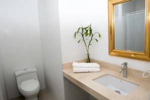a bathroom with a toilet and a sink and a mirror at Eduardo Designer Apartments Miraflores in Lima