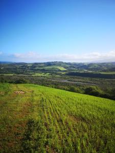 Fotografie z fotogalerie ubytování La Casa Rosa v destinaci Polveraia