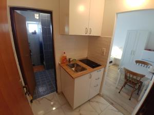Kuchyň nebo kuchyňský kout v ubytování Apartmani Sali Seaview