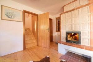 Zalog的住宿－Little dream house in a perfect spot，客厅设有壁炉,地板上放着一只狗