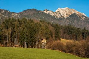 Photo de la galerie de l'établissement Little dream house in a perfect spot, à Zalog