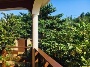 Billede fra billedgalleriet på casa Luis i São Tomé + 23 billeder