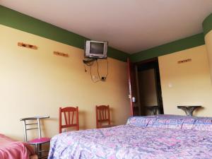 ein Schlafzimmer mit einem Bett und einem TV an der Wand in der Unterkunft Scheler Artizon Trek`s House in Huaraz
