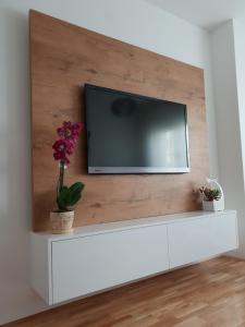 TV a/nebo společenská místnost v ubytování Tvoj Apartman