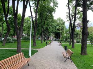 a walkway in a park with benches and trees at Floreasca Apartment Bach in Bucharest