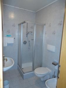 a bathroom with a shower and a toilet and a sink at Hotel Saxl in Campo di Trens