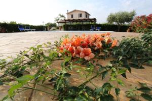 Zahrada ubytování Agriturismo Casale Sasso