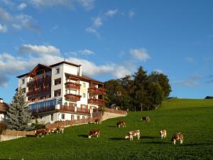 Gallery image of Pension Schlaneiderhof in Meltina