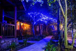 A garden outside Zu Sin Garden B&B
