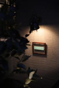 Foto sihtkohas Yugawara asuva majutusasutuse treeside galeriist
