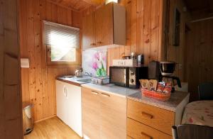 a kitchen with a sink and a microwave in a cabin at Apartment Perić in Rastovača