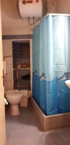 baño con aseo y cortina de ducha azul en Lefki's house en Drymon