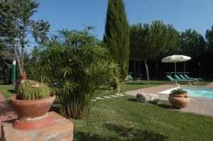 un patio con dos macetas y una piscina en VILLA VITELLINO, en Castiglione del Lago