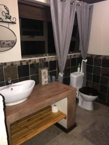 a bathroom with a sink and a toilet at Twenty Four Mabalingwe Nature Reserve in Mabula