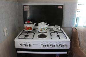 Cucina o angolo cottura di Snow Leopard Hostel