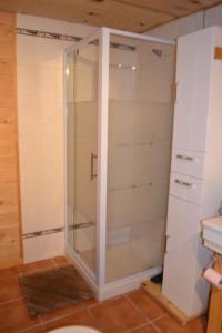 W łazience z przeszklonymi drzwiami znajduje się prysznic. w obiekcie Petit appartement en montagne w mieście Saint-Julien-en-Champsaur