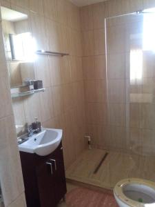 een badkamer met een douche, een wastafel en een toilet bij Casa Eugenia in Vama Veche