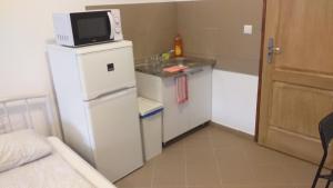 een kleine keuken met een magnetron bovenop een koelkast bij Kisdunapart 510 in Taksony