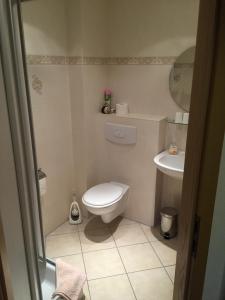 Un baño pequeño con inodoro y lavabo. en Landhaus Gohrisch, en Kurort Gohrisch