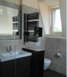 uma casa de banho com um lavatório, um WC e uma janela. em Schuster Villa em Markneukirchen
