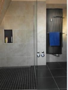 A bathroom at Schuster Villa