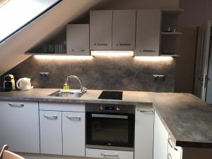 Kuchyň nebo kuchyňský kout v ubytování Apartmany U Stareho Labe