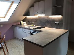 Kuchyň nebo kuchyňský kout v ubytování Apartmany U Stareho Labe