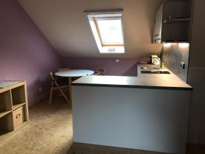 Kuchyň nebo kuchyňský kout v ubytování Apartmany U Stareho Labe
