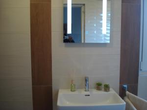 Koupelna v ubytování Apartment Premantura