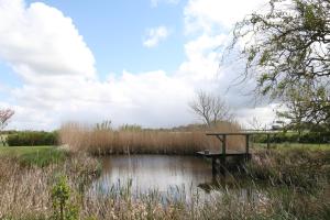 a small pond with a wooden dock in a field at Ferienwohnung Süderdeich in Neukirchen