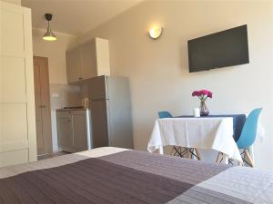 Kuchyň nebo kuchyňský kout v ubytování Lenka Apartments I