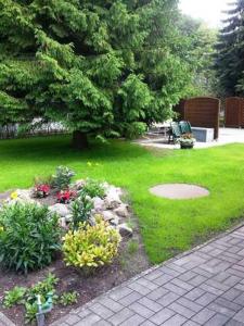 un jardin avec un arbre et des fleurs dans l'herbe dans l'établissement "Uns Klausing", à Ahlbeck