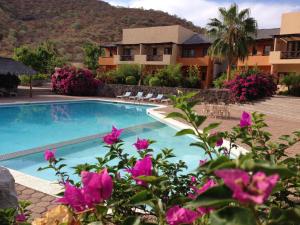 una piscina en un complejo con flores rosas en Tripui Hotel en Puerto Escondido