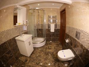 ウズンギョルにあるElif Inan Hotelのトイレとシャワー付きのバスルーム +63枚の写真